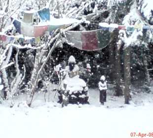 Es gab auch 2 Schneetage beim Heilfasten 2008