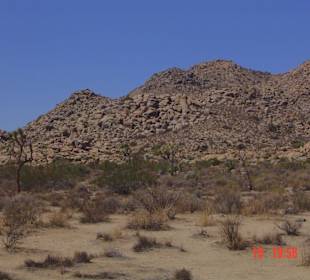 Joshua Tree National Park