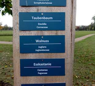 Infotafeln im Baumpark