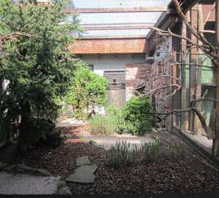 Zoo Heidelberg