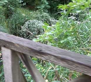 Schlosspark Charlottenburg