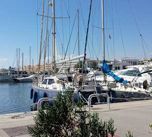 Marina Yasmine Hammamet