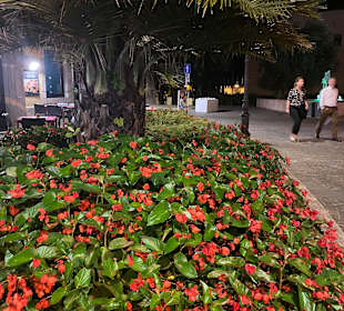 Altstadt Riva del Garda