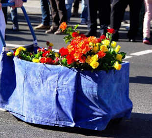 Maler-Lackiererinnung Fürth Malerhandwerk 2.0