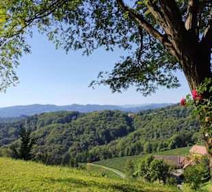 Blickrichtung Koralpe