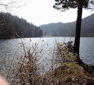 Hechtsee - Überblick