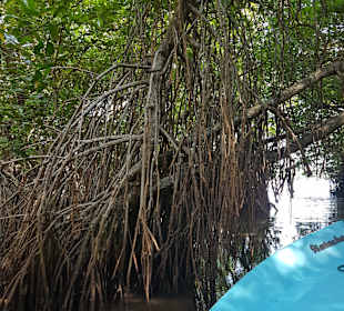 Sri Lanka Harry Tours 