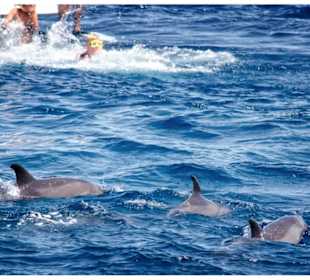 Geführte Touren Egypt Booking.com