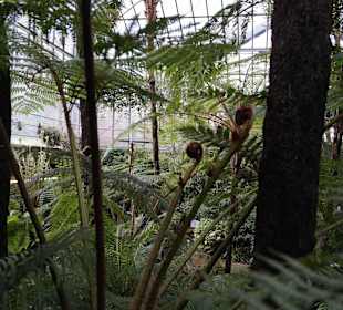 Anlage Planten un Blomen