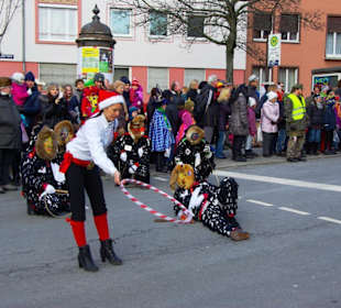 Nürnberger Faschingsumzug 2013