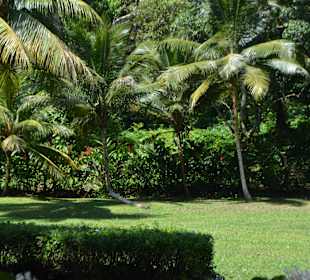 Водопад и парк Данс Ривер