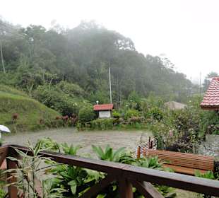 Ausflug Wildfife Expeditions