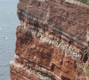 Beim Lummenfelsen auf Helgoland