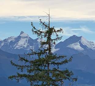 Wandern St. Johann im Pongau