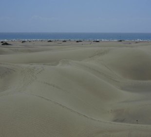 D(M)eine Spuren im Sand