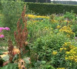 ALB-GOLD Naturgarten