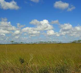 Everglades National Park