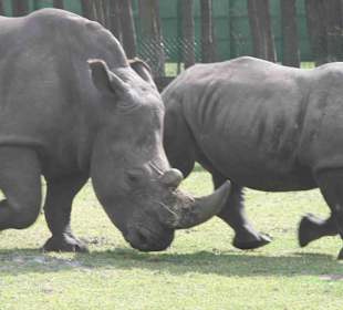 Serengeti Park Hodenhagen