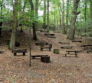 Auf dem Terrainkurweg durch das Vilser Holz