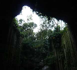 Baden in der Cenote