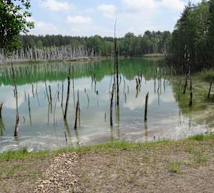 Waldeisenbahn Muskau