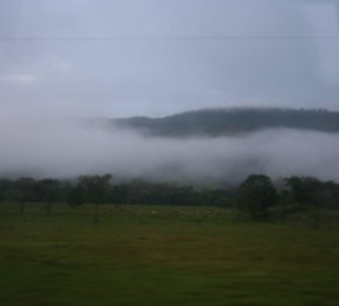 Otoczenie Palenque