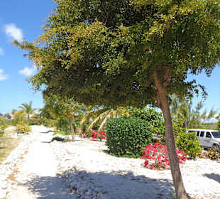 Tolle Gartenanlage im Terminal