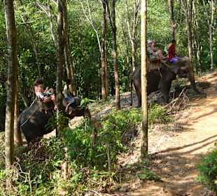 Kleine Tour mit 5 Elefanten