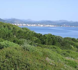 Blick zur Bucht von Cala Millor