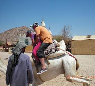 Quad Tour Hurghada 
