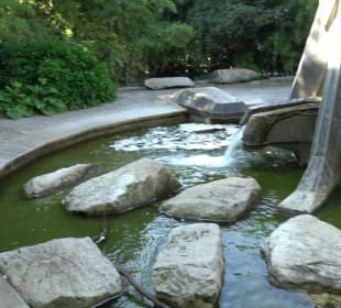 Stadtgarten Heidelberg