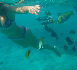 Как рыбка в воде