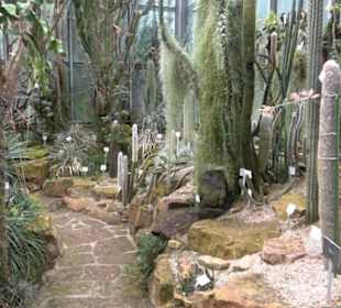 Sukkulentenhaus