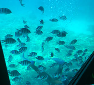 Hurghada Marine Museum & Aquarium