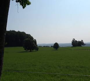 Waldlehrpfad St. Johann