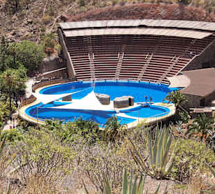 Blick auf das Delfinarium