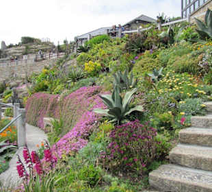 Steingärten auf den Ebenen