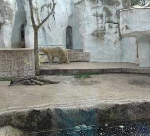 Zoologischer Stadtgarten