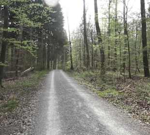 Wanderweg Firstwaldrunde