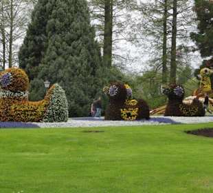 Insel Mainau im Mai