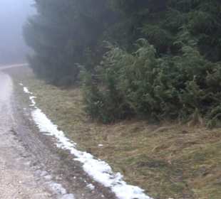 Auernheimer Krippenweg