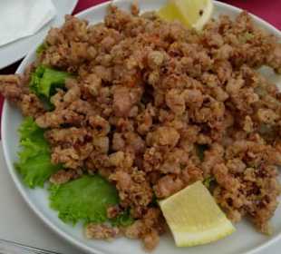 Gastro