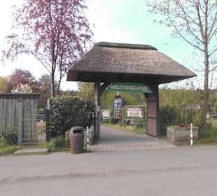 Weltvogelpark Walsrode