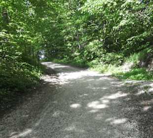 Burgruine Hohenstaufen
