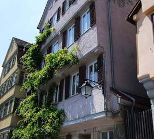 Die Altstadt