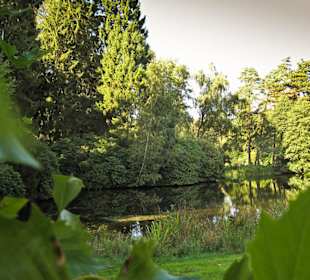 Кладбище Ольсдорф, Гамбург, 16 сентября 2013 года