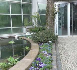 Tropicarium - Feuchte Tropen