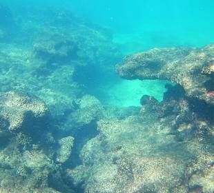 Schnorcheln Avsallar