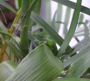 Geh doch weiter...bitte...