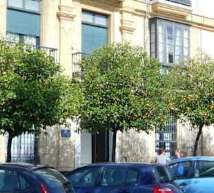Altstadt Cadiz